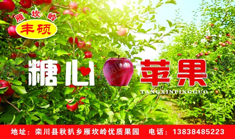 编号：34676609120513163738【酷图网】源文件下载-糖心苹果