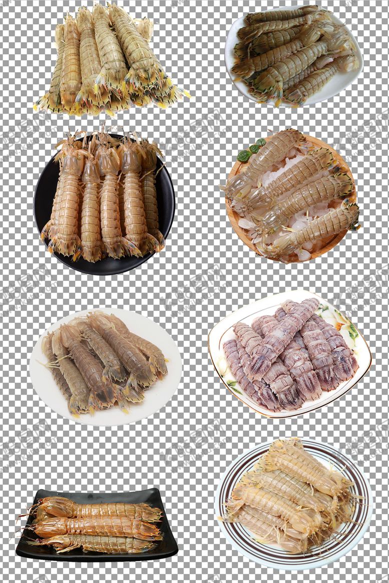 编号：80971206270501542281【酷图网】源文件下载-新鲜的皮皮虾