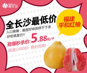 红柚推广海报