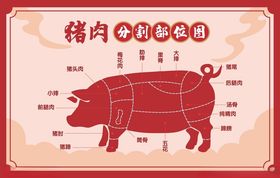 猪肉分割图