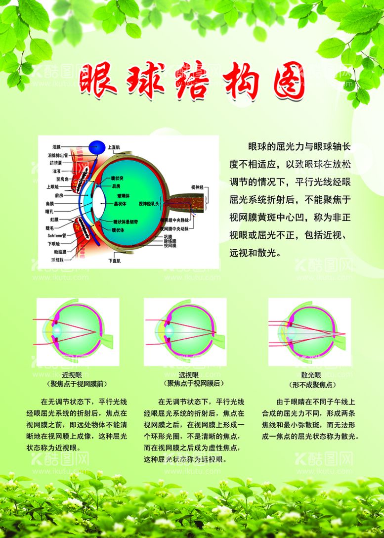 编号：15032409182122060324【酷图网】源文件下载-眼部结构