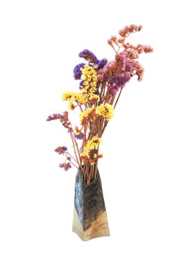 免抠背景干花枯花