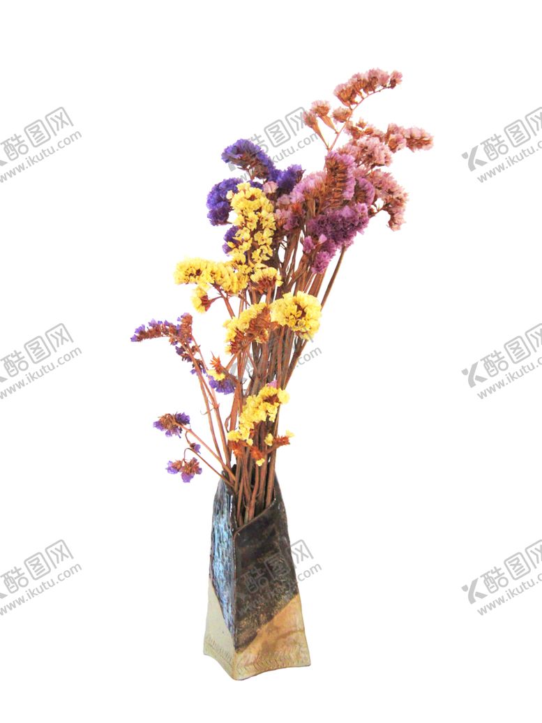 编号：76948110310003274744【酷图网】源文件下载-免抠背景干花枯花