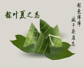 粽叶高清矢量图