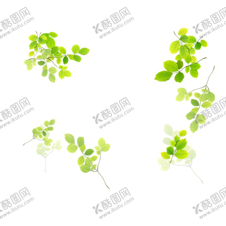编号：50909707141427161328【酷图网】源文件下载-花边素材