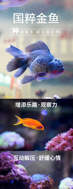 海鲜详情页