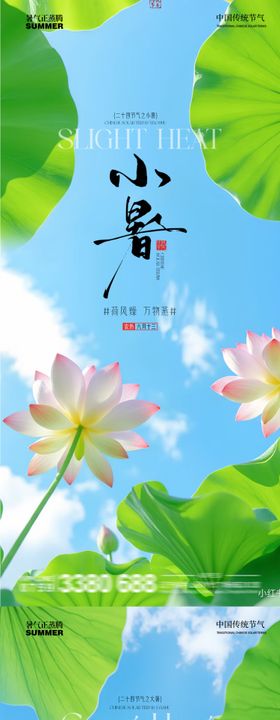 小暑海报荷花房地产荷塘二十四节气