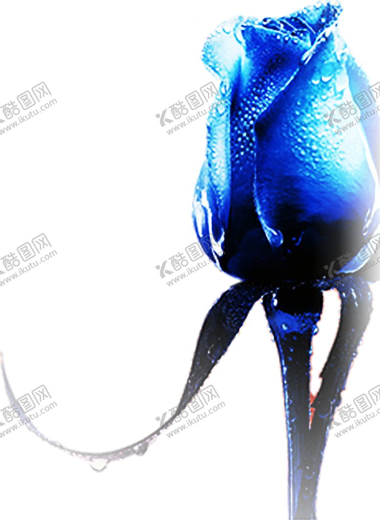 编号：35255906182142058099【酷图网】源文件下载-浪漫素材