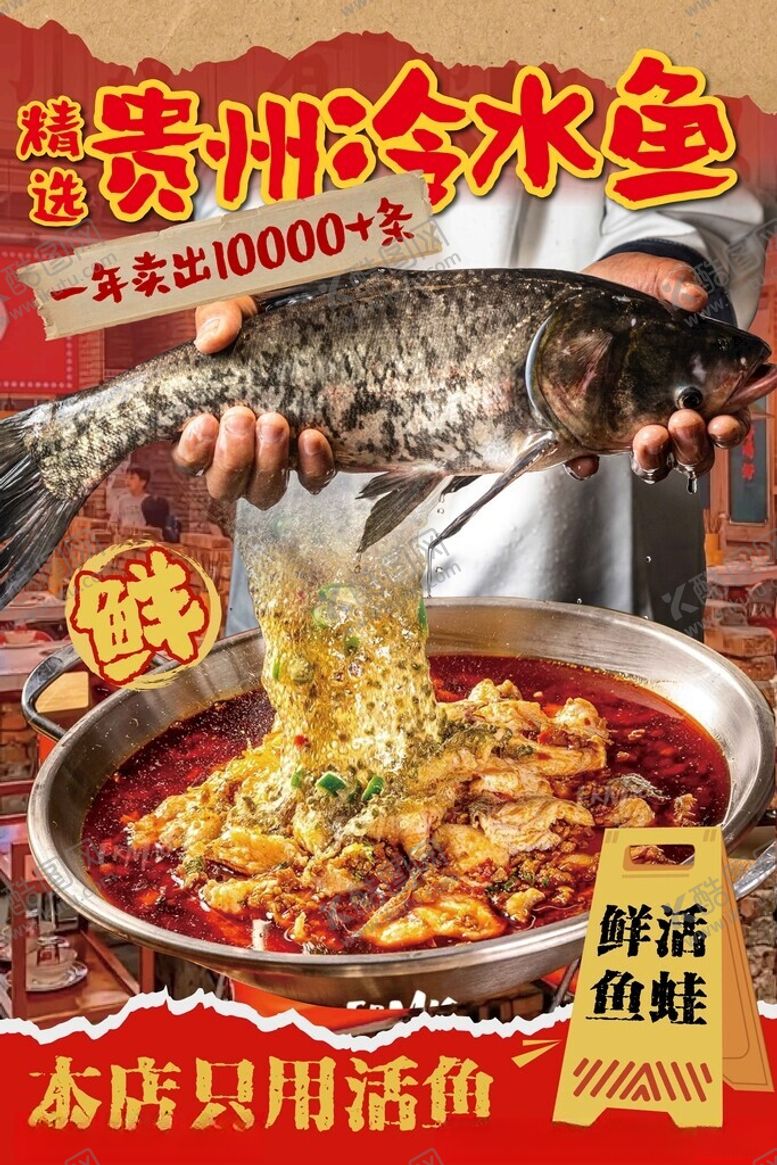 编号：55765404281142312944【酷图网】源文件下载-鲜鱼冷水鱼