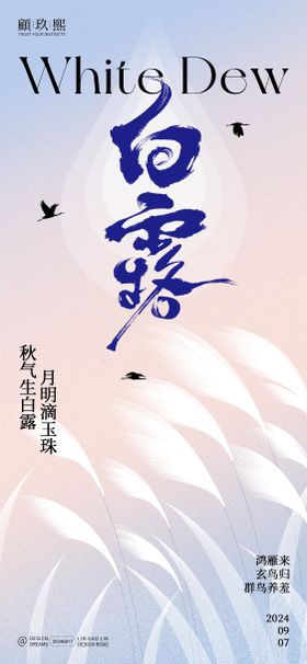 白露节气海报芦苇二十四地产