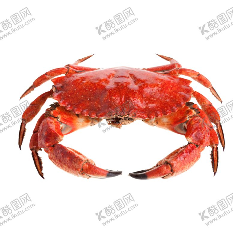 编号：57226706250753469758【酷图网】源文件下载-螃蟹