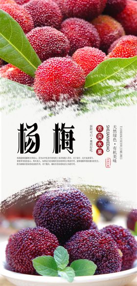 杨梅海报水果