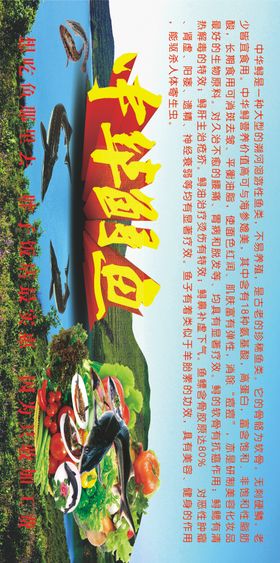 中华鲟鱼