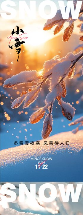 地产小雪大雪海报