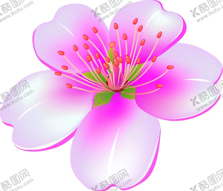 编号：22551109282347251147【酷图网】源文件下载-鲜花素材