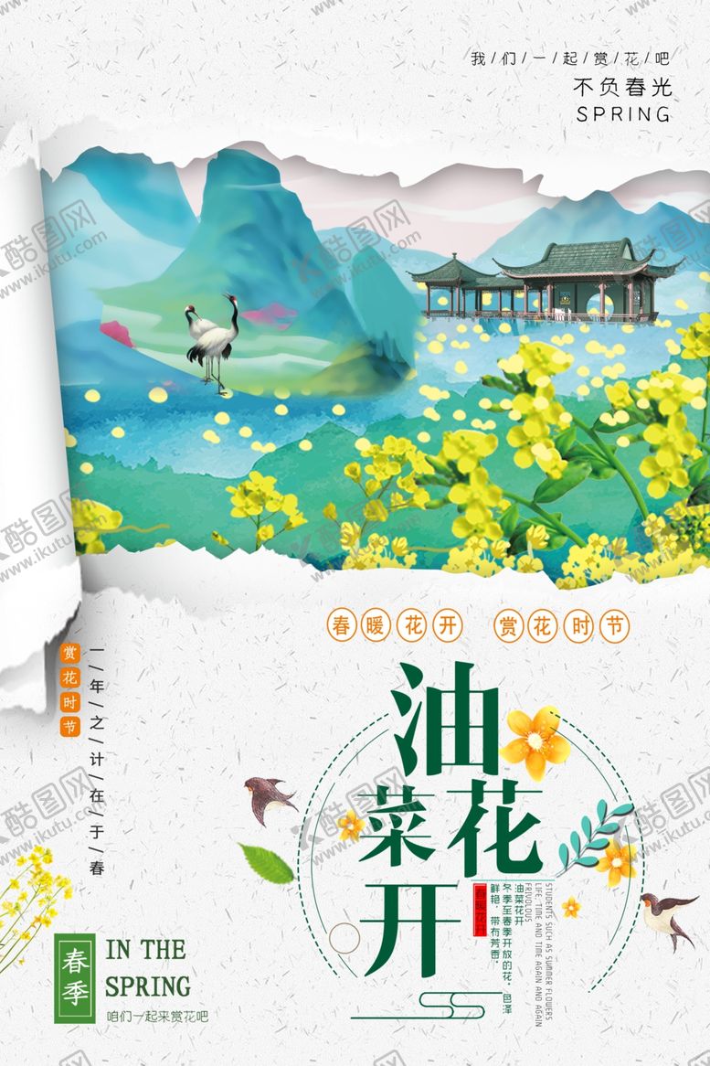 编号：98248609171638094862【酷图网】源文件下载-油菜花