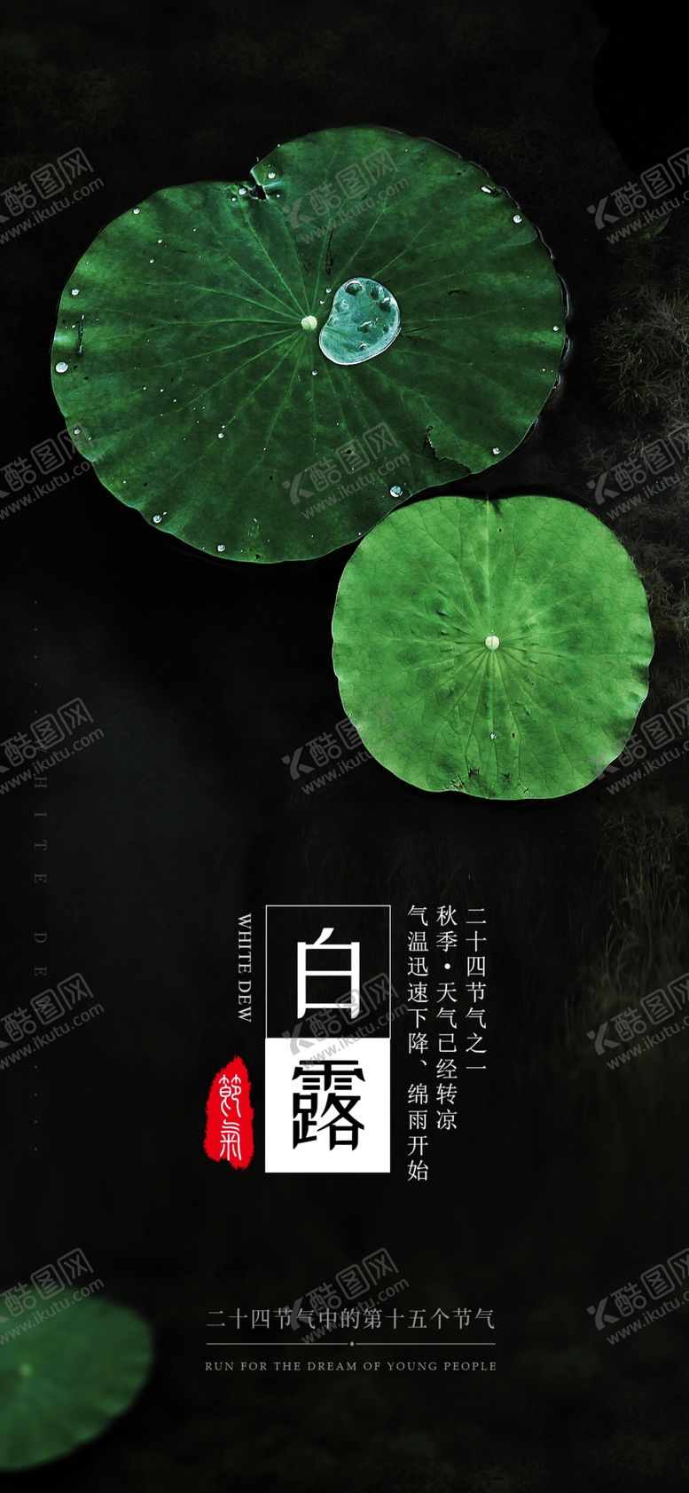 编号：59756009262225597043【酷图网】源文件下载-白露