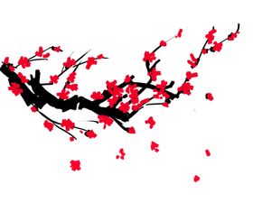 国画梅花