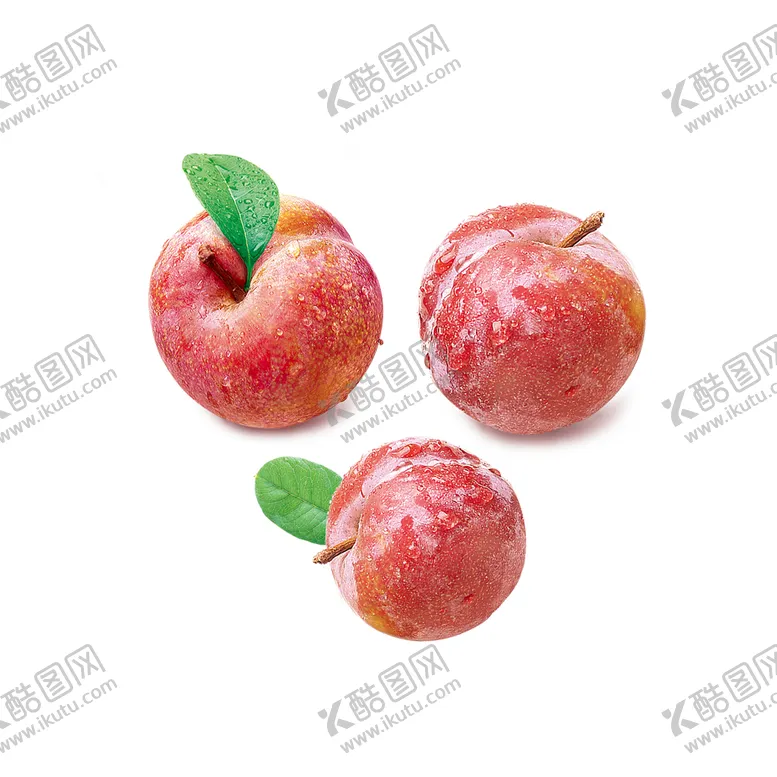编号：20836010151604369052【酷图网】源文件下载-李子