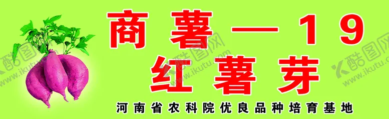 编号：16507809132218354821【酷图网】源文件下载-商薯广告