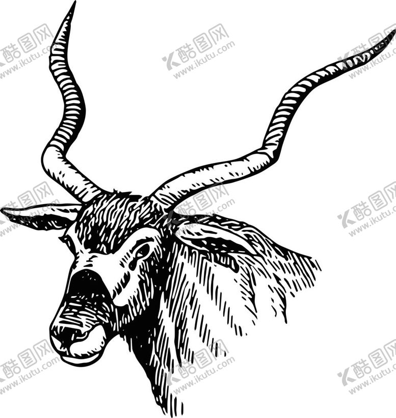 编号：24477211230736159965【酷图网】源文件下载-羊 