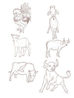 矢量动物鸡羊牛素描线条图片