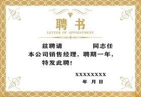 聘书专家国外大学任命证
