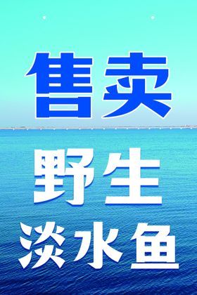 野生淡水鱼卖鱼