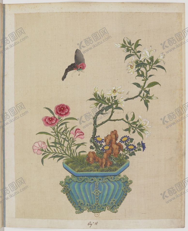 编号：89702303280846152323【酷图网】源文件下载-盆景花鸟