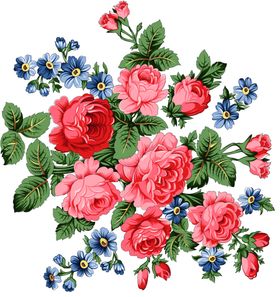 牡丹花