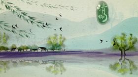 清新绿植与圆润果实画面