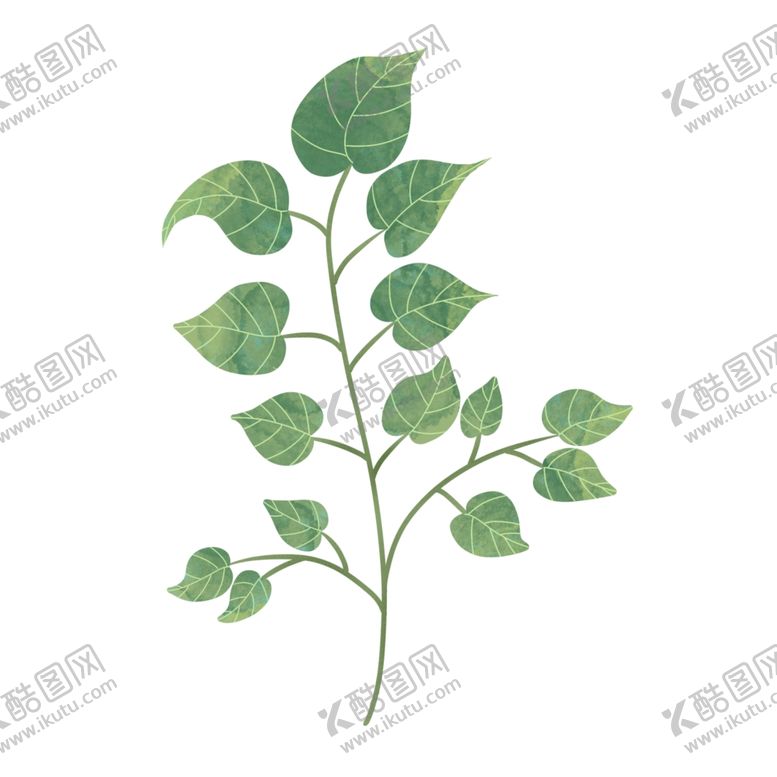 编号：37558603260314034015【酷图网】源文件下载-手绘绿叶植物素材