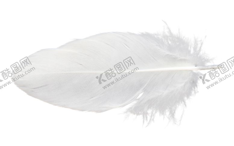 编号：50229310210008359411【酷图网】源文件下载-白色羽毛漂浮素材
