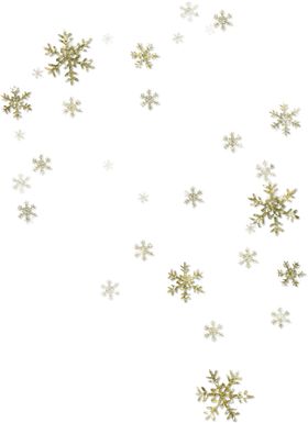 金色雪花