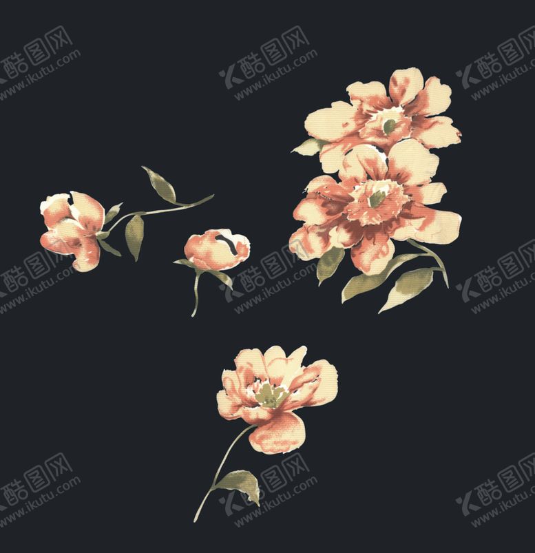 编号：42709105122044077050【酷图网】源文件下载-花朵