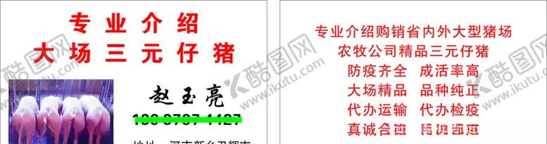 编号：33933106142333318148【酷图网】源文件下载-仔猪名片