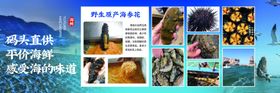 码头直供海鲜海报