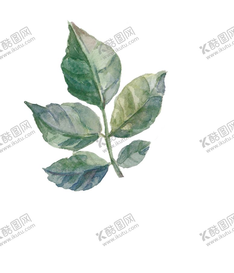 编号：35034907061202255572【酷图网】源文件下载-绿叶