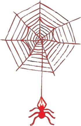 蜘蛛