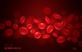 红细胞