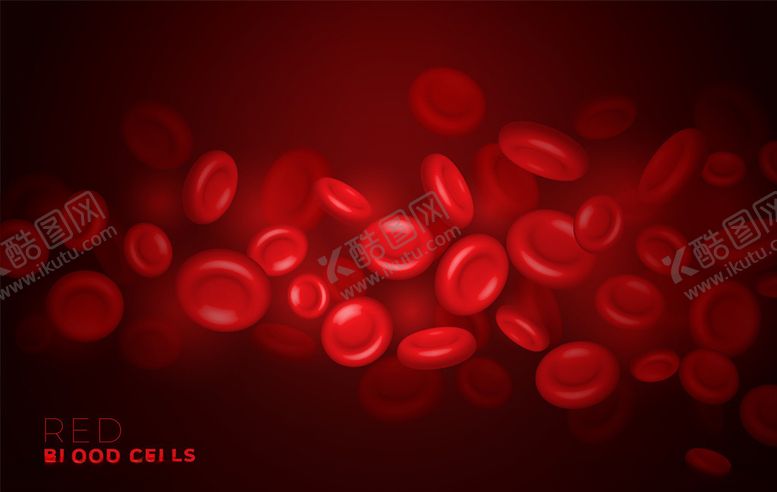 编号：39848911011058589199【酷图网】源文件下载-红细胞