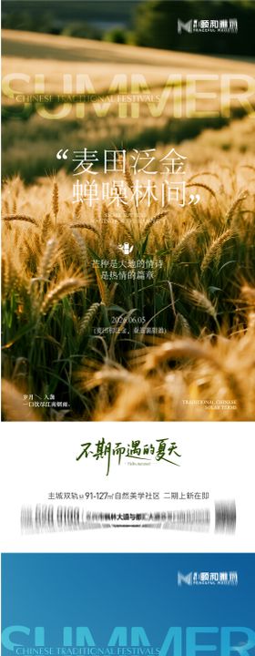 芒种二十四节气节日海报麦芒麦田