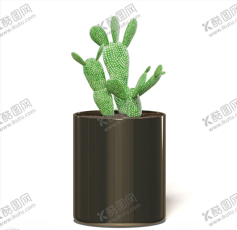 编号：26196409221926072556【酷图网】源文件下载-C4D模型仙人掌