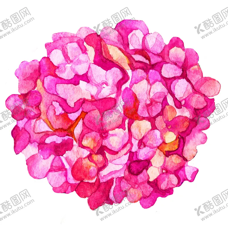 编号：61377607020938399984【酷图网】源文件下载-花素材