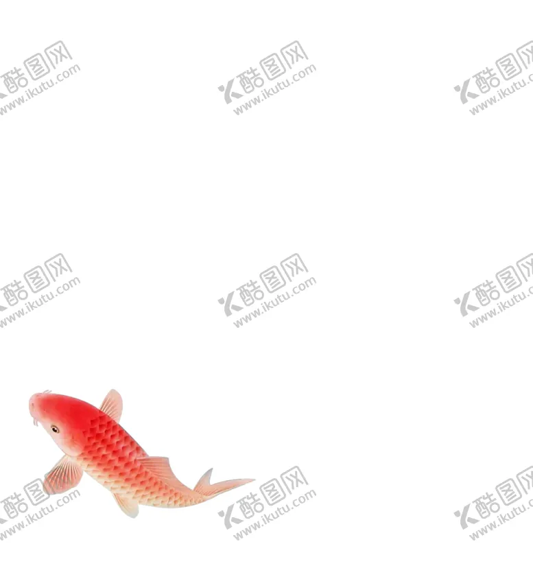 编号：65049104160609067429【酷图网】源文件下载-锦鲤