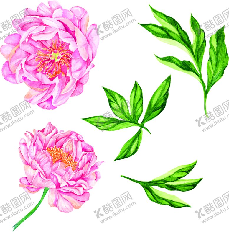 编号：68351306250145085008【酷图网】源文件下载-花素材
