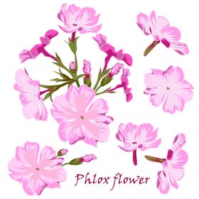 手绘花卉素材水彩AI