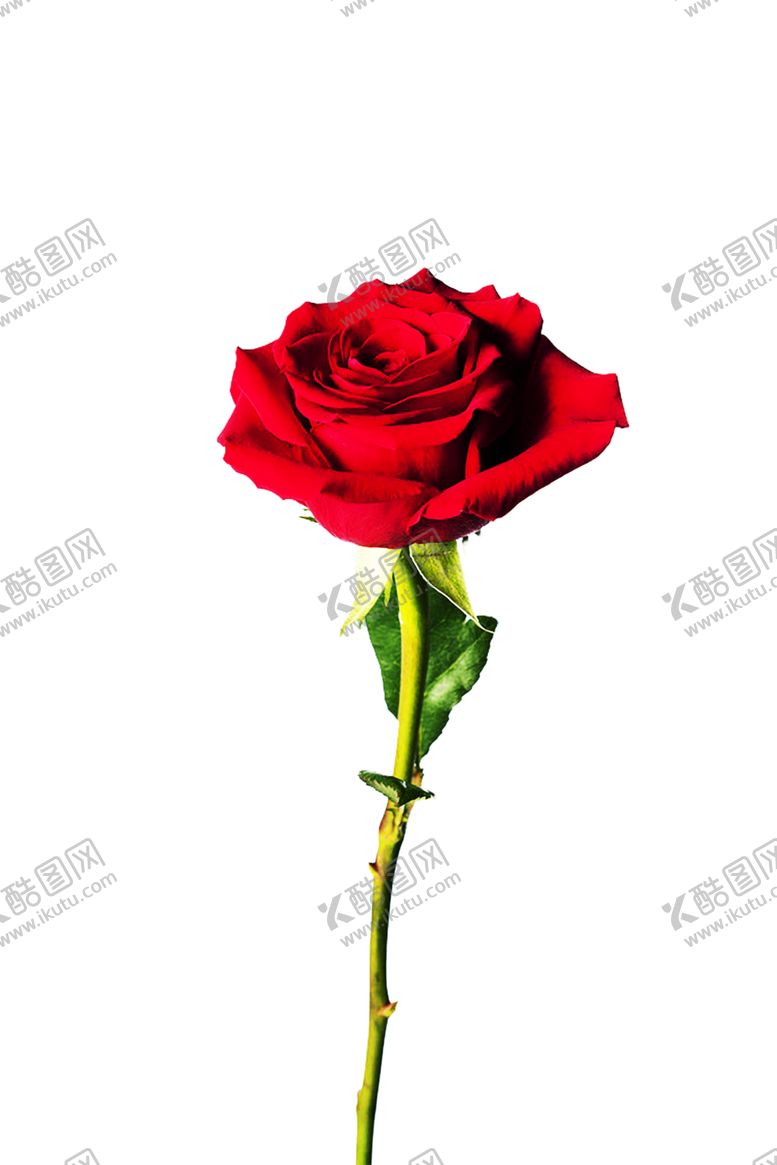 编号：56876209181807168108【酷图网】源文件下载-浪漫素材