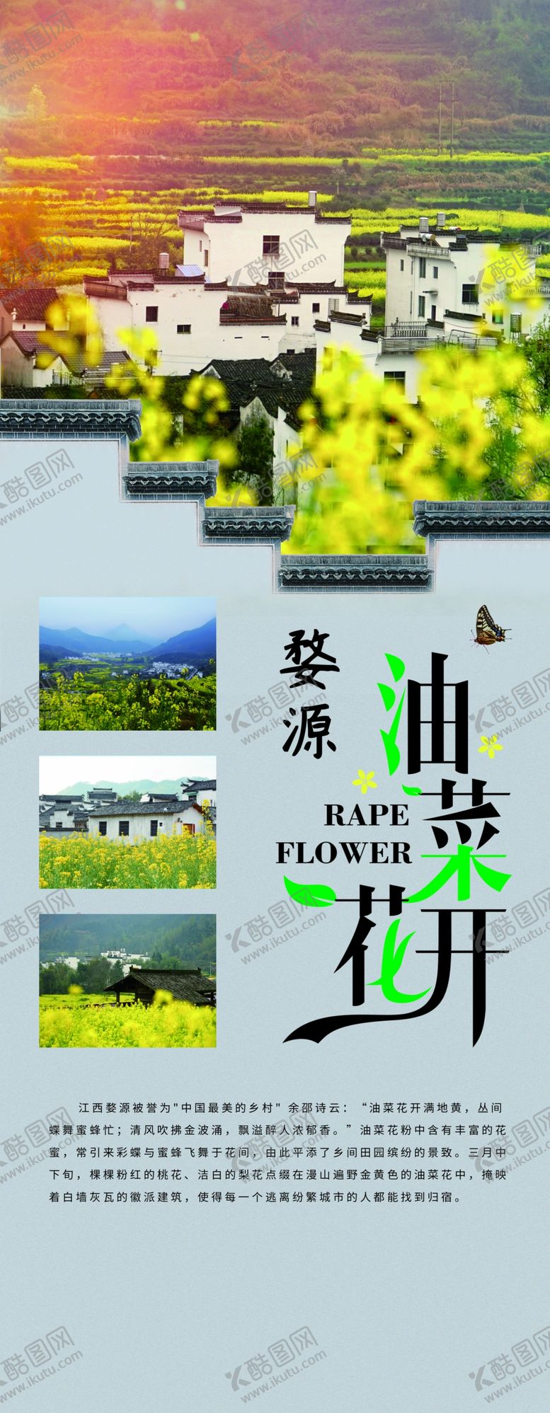 编号：51134210301130039266【酷图网】源文件下载-油菜花