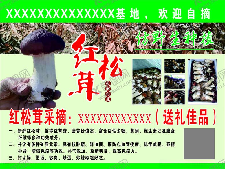 编号：44136702142244015556【酷图网】源文件下载-红松茸海报